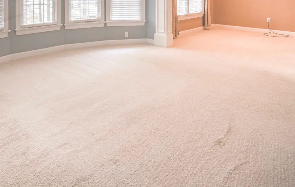 Bay window living room in a Crystal Lake home with new light carpet